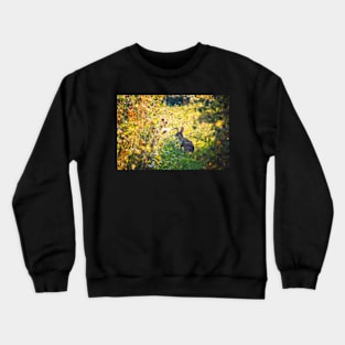 Wild Rabbit Crewneck Sweatshirt